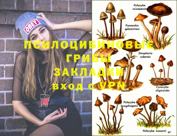 PSILOCYBIN Ростов