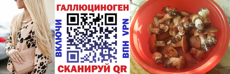 Галлюциногенные грибы Cubensis  ссылка на мегу ссылка  Чехов 