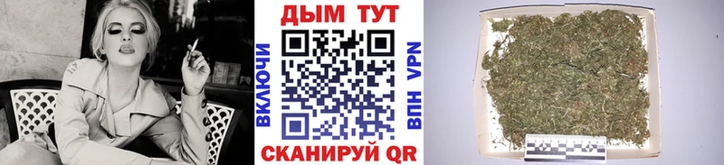 где можно купить   Чехов  маркетплейс наркотические препараты  Шишки марихуана сатива 